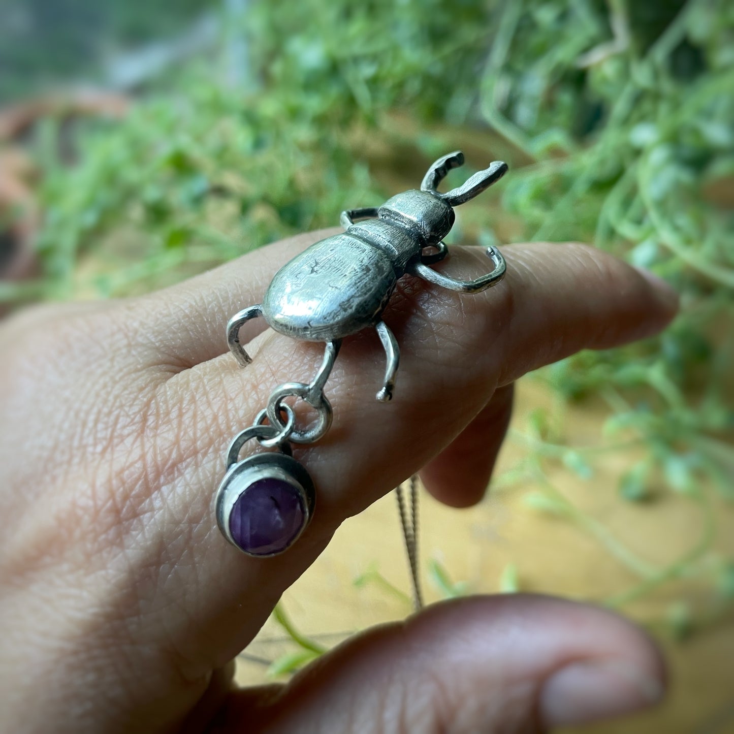 Stag Beetle