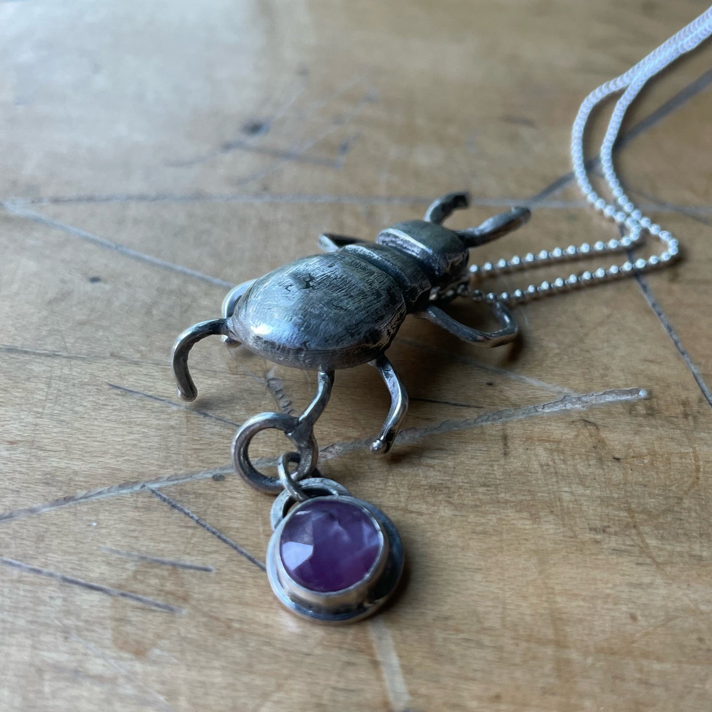 Stag Beetle